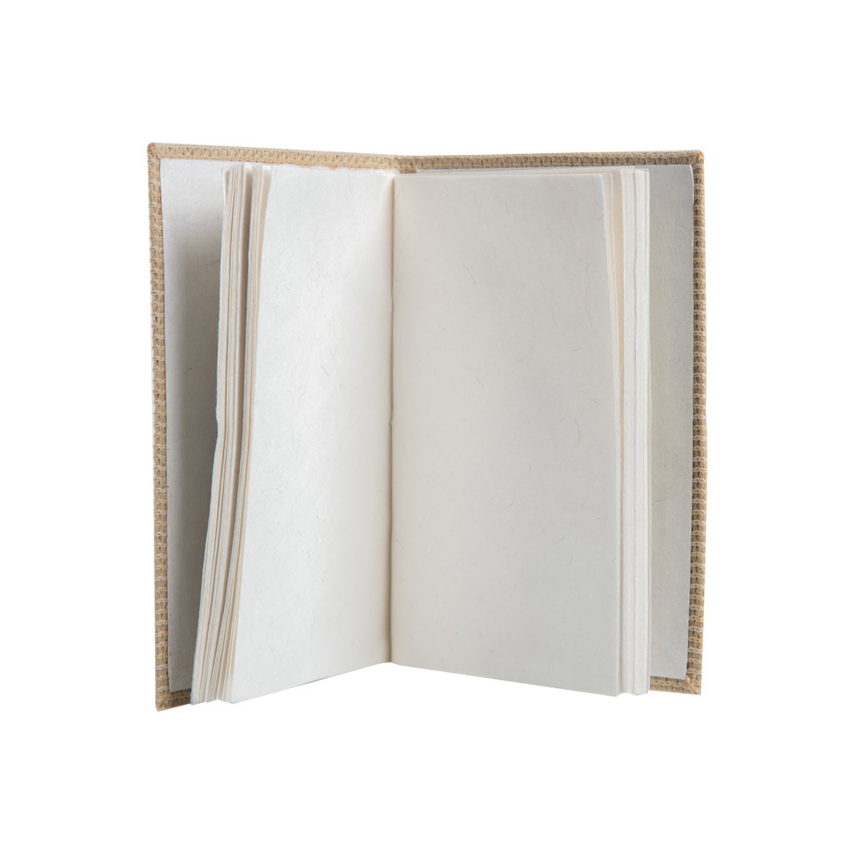 Handy Diary